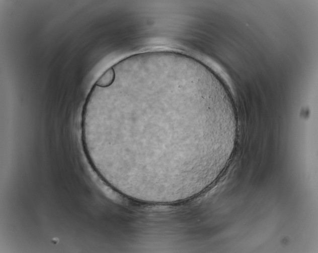 X0000100331431200807031224