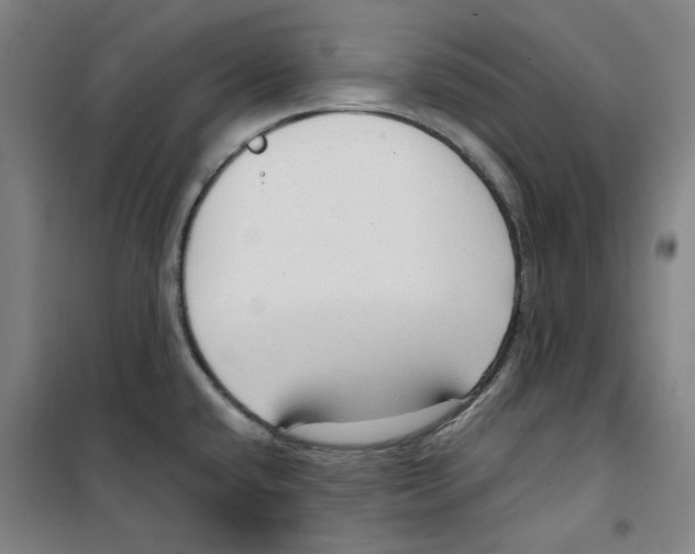 X0000100331432200807031224