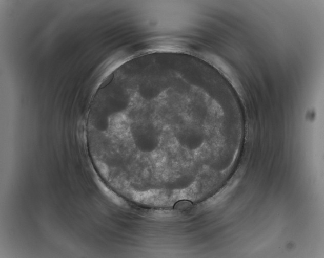 X0000100331433200807031224