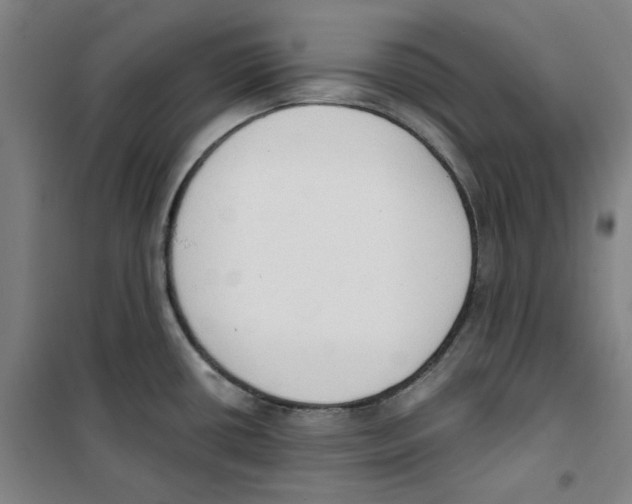 X0000100331434200807031224