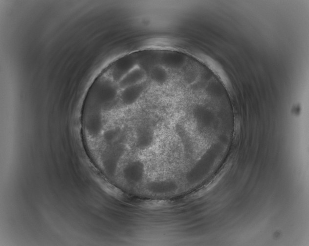 X0000100331435200807031224