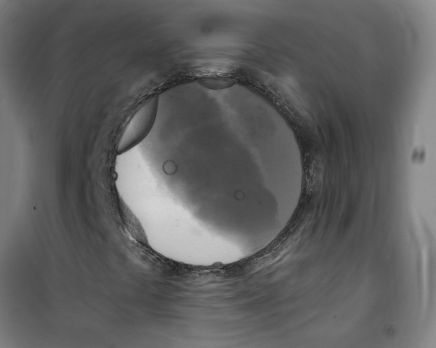 X0000100331441200807031223