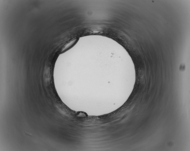 X0000100331442200807031223