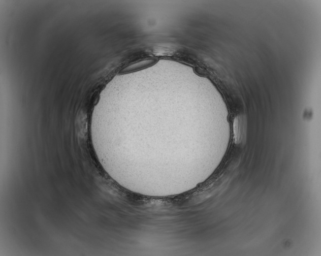 X0000100331443200807031223