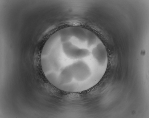 X0000100331446200807031223