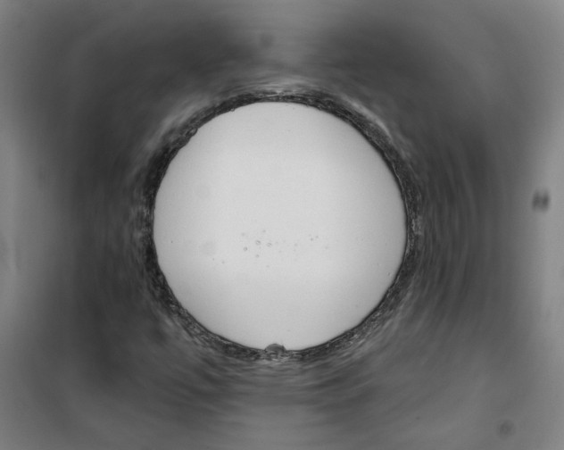 X0000100331447200807031223