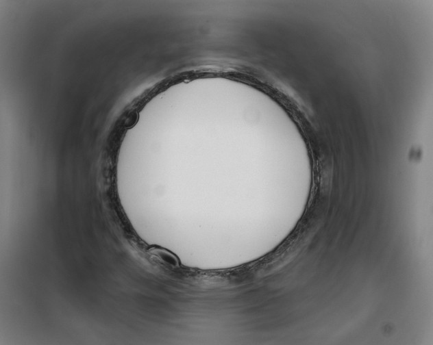 X0000100331448200807031223