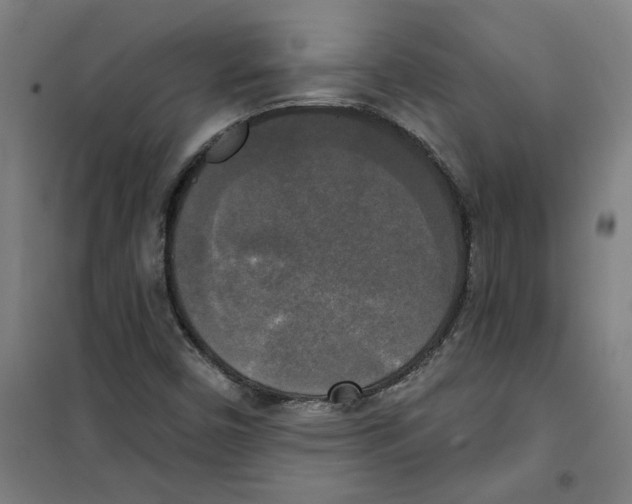 X0000100331450200807031223