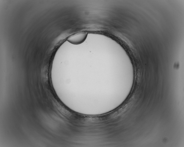 X0000100331451200807031223