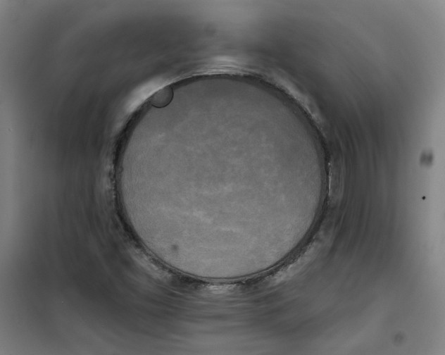 X0000100331453200807031223