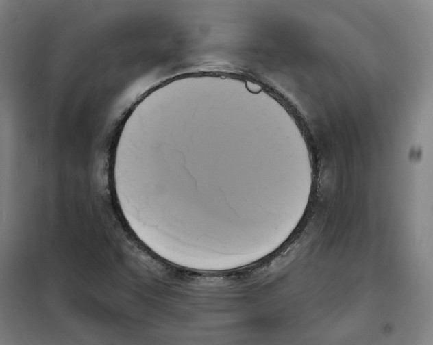 X0000100331455200807031223