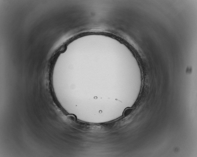 X0000100331456200807031223