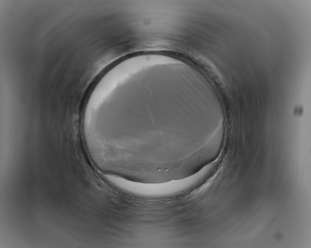 X0000100331457200807031223