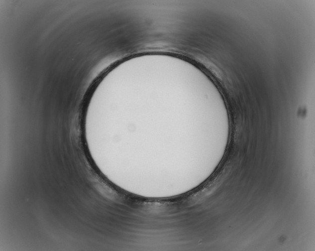 X0000100331458200807031223