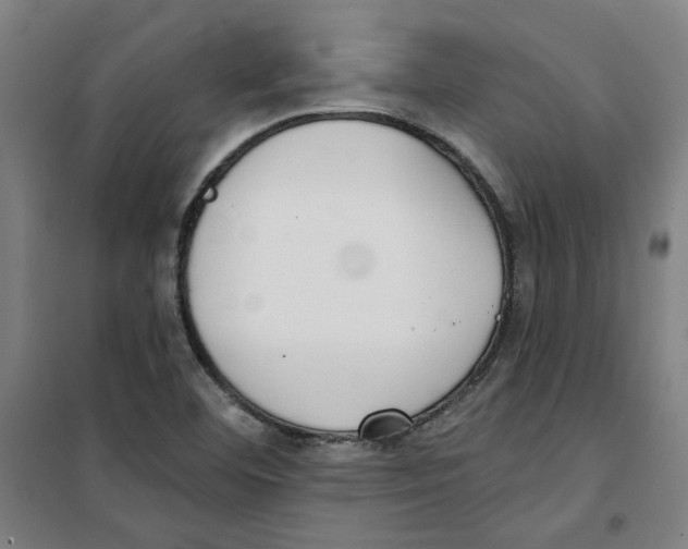 X0000100331460200807031223