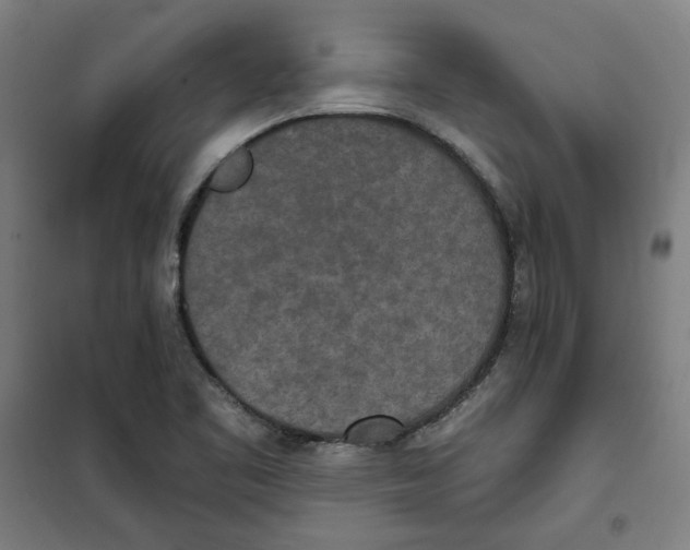 X0000100331461200807031223