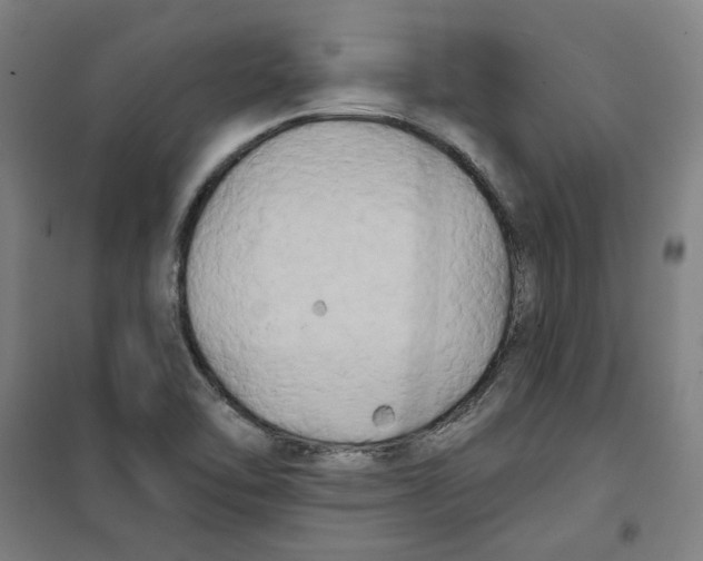 X0000100331462200807031223