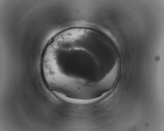 X0000100331463200807031223