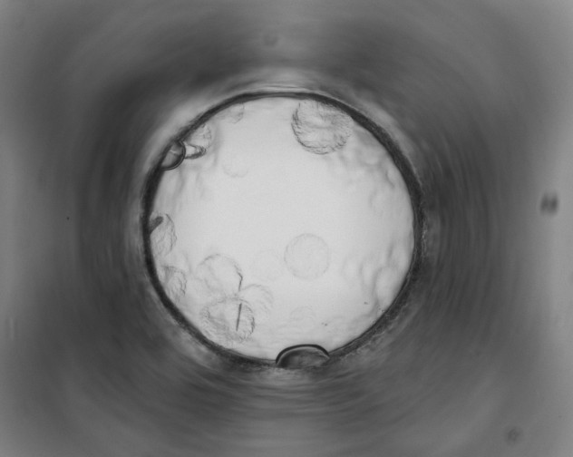 X0000100331464200807031223