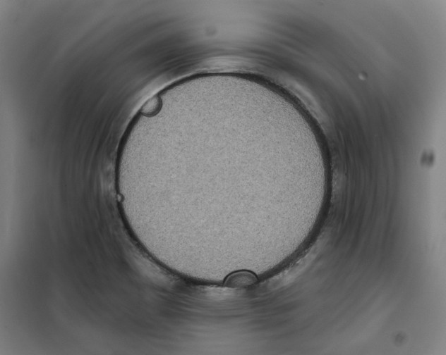 X0000100331465200807031223