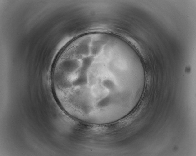 X0000100331466200807031223