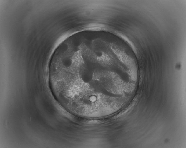 X0000100331467200807031223