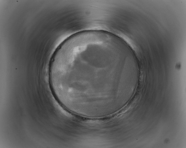 X0000100331468200807031223