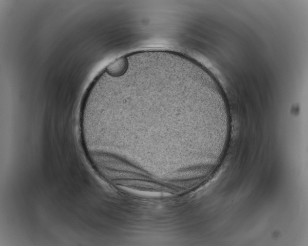 X0000100331469200807031223