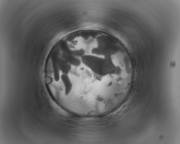 X0000100331471200807031223