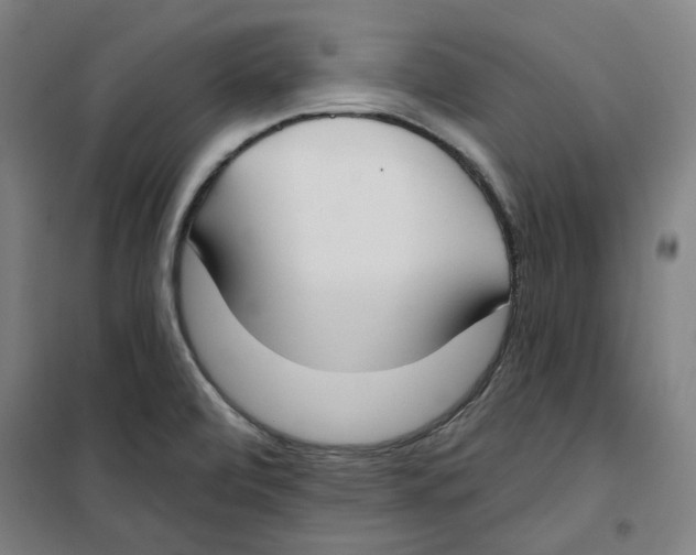 X0000100331472200807031223