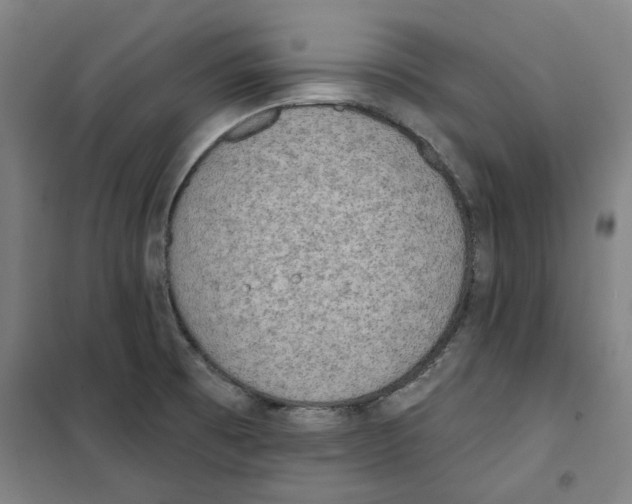 X0000100331473200807031223