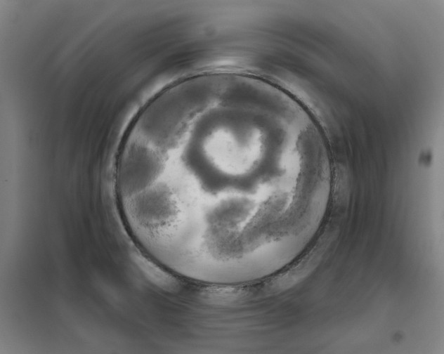 X0000100331474200807031223