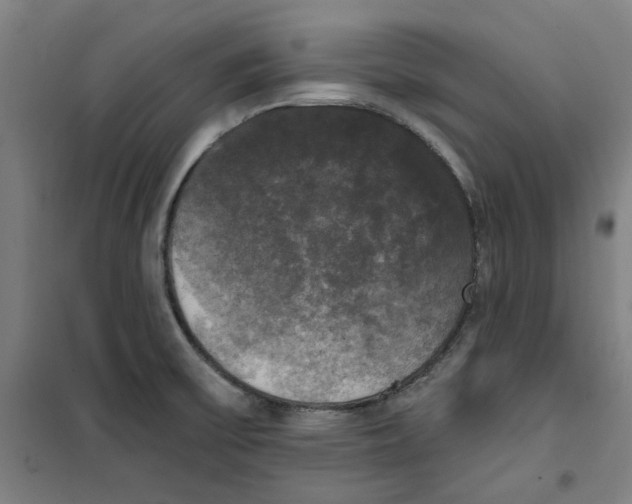 X0000100331475200807031223