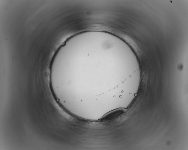 X0000100331476200807031223