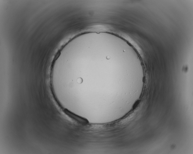 X0000100331477200807031223