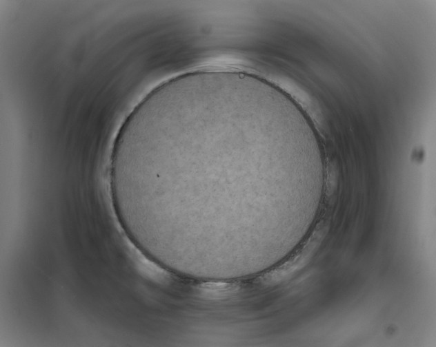 X0000100331478200807031223