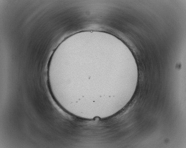 X0000100331479200807031223