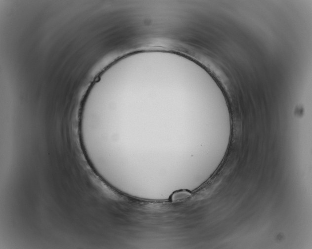 X0000100331480200807031223