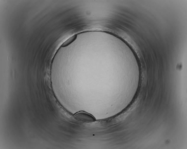 X0000100331481200807031223