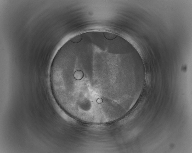 X0000100331482200807031223