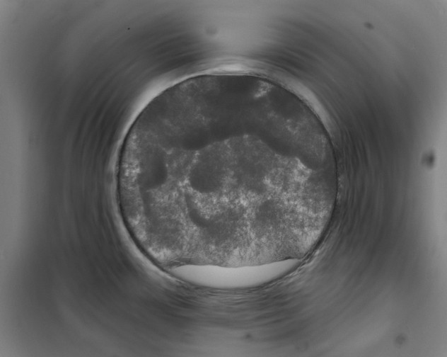 X0000100331483200807031222