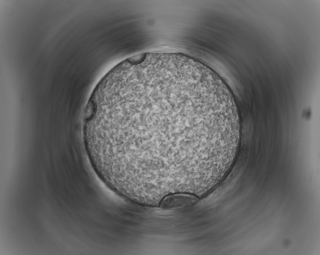 X0000100331484200807031222