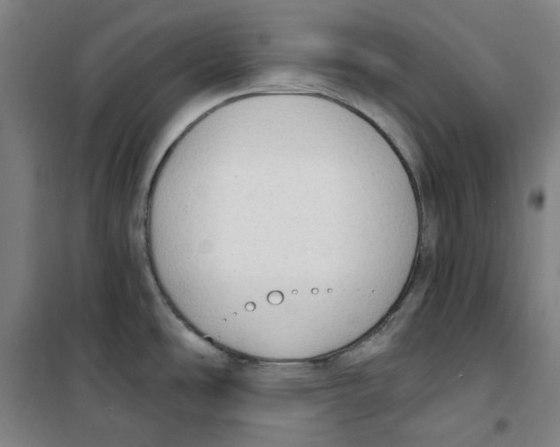 X0000100331486200807031222