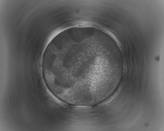 X0000100331487200807031222