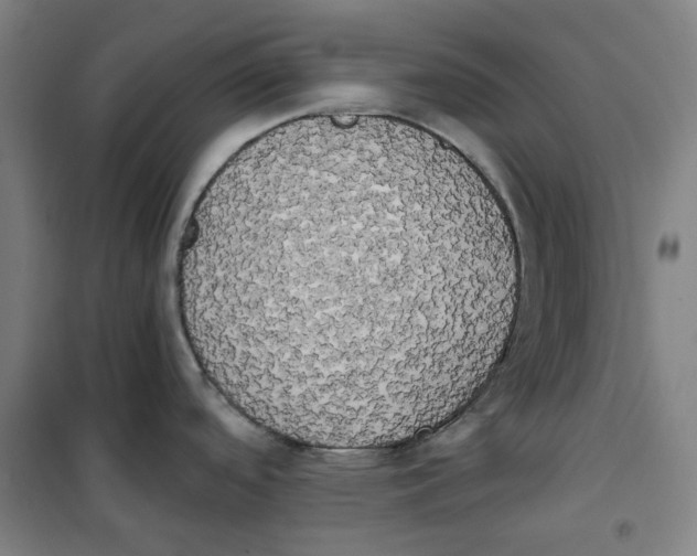 X0000100331488200807031222