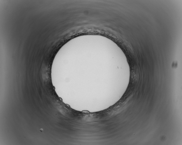 X0000100331490200807031222