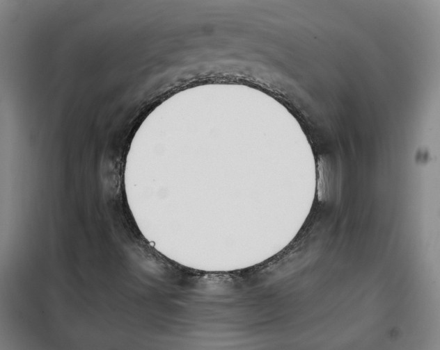 X0000100331491200807031222