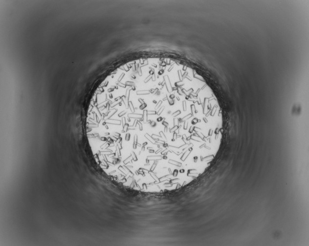X0000100331493200807031222