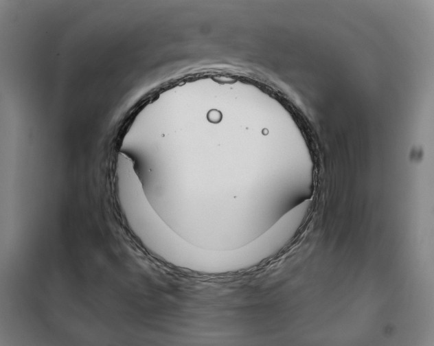 X0000100331496200807031222