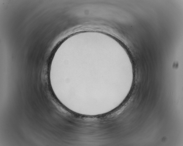 X0000100331498200807031222